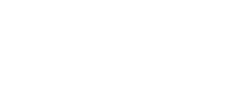 like proteção veicular